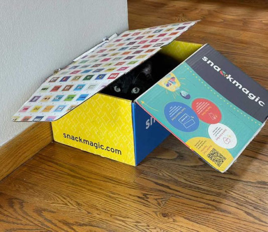 Reuse Your Box in These 3 Ways Reuse