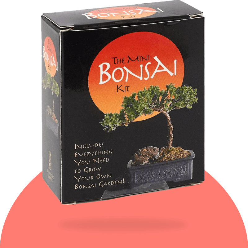 The Mini Bonsai Kit [With Other] by Running Press; Running Press