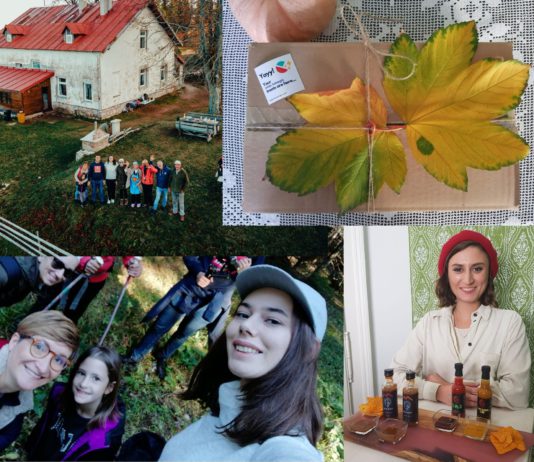 Local Partner Spotlight: Balkantina in Bosnia and Herzegovina Balkantina , Snackmagic partner in Bosnia