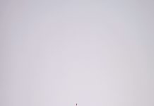 Top Tastes and Bites that Make Great Birthday Gifts for Her