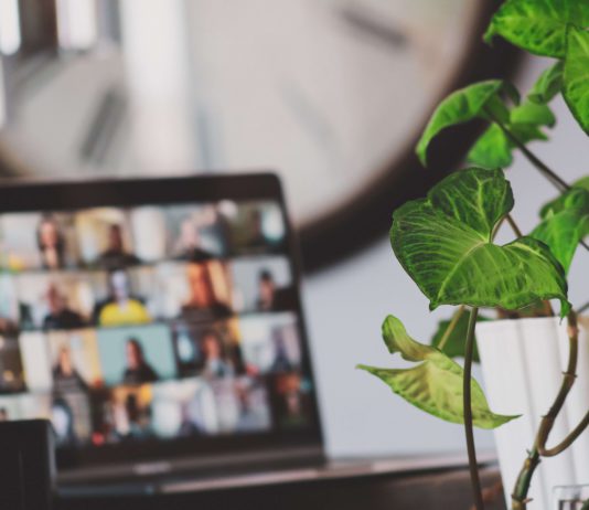 The New Rules of Corporate Gifting in 2024 A remote work meeting on a laptop with many employees calling in, with a plant nearby.