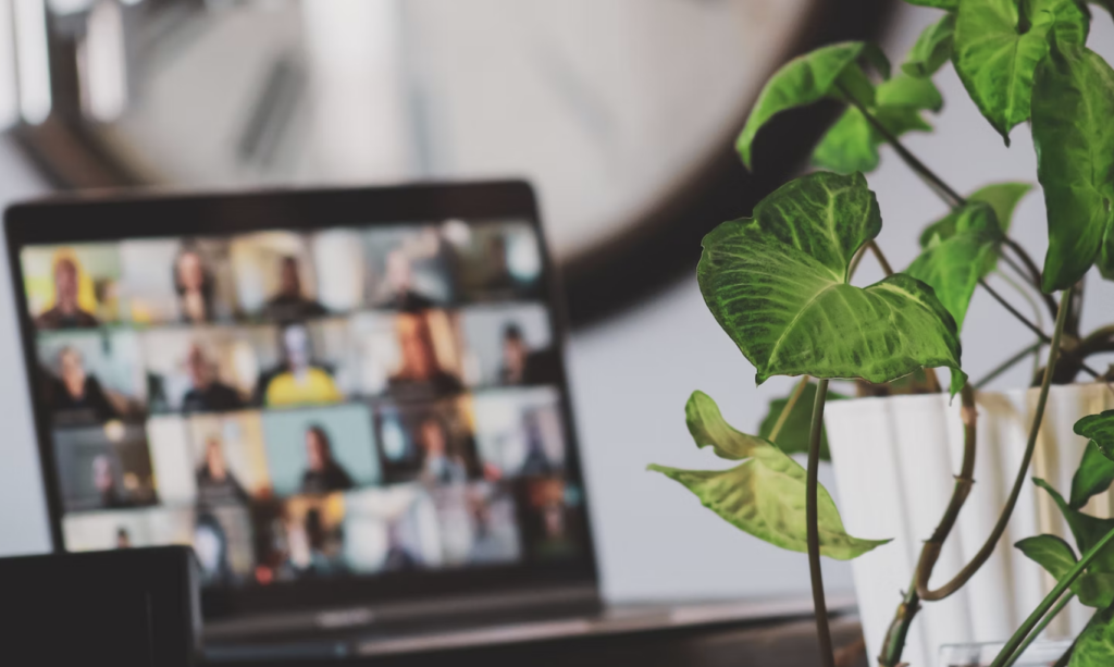 Remote team on a zoom call