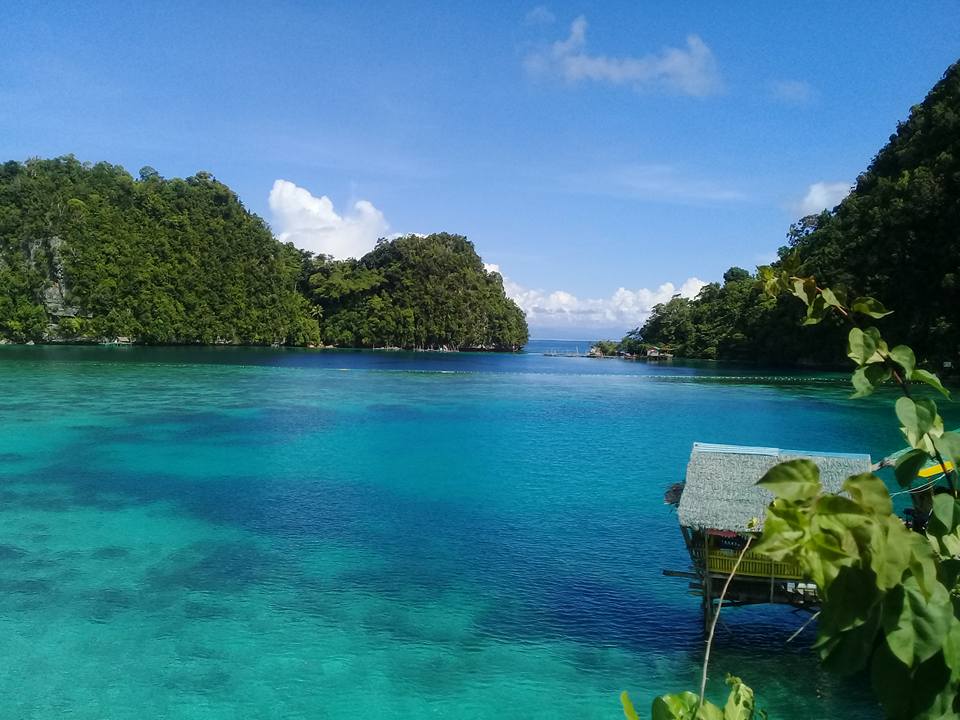A beautiful, sunny day in the Philippines where lush forests, rocks, and clear blue water are visible.